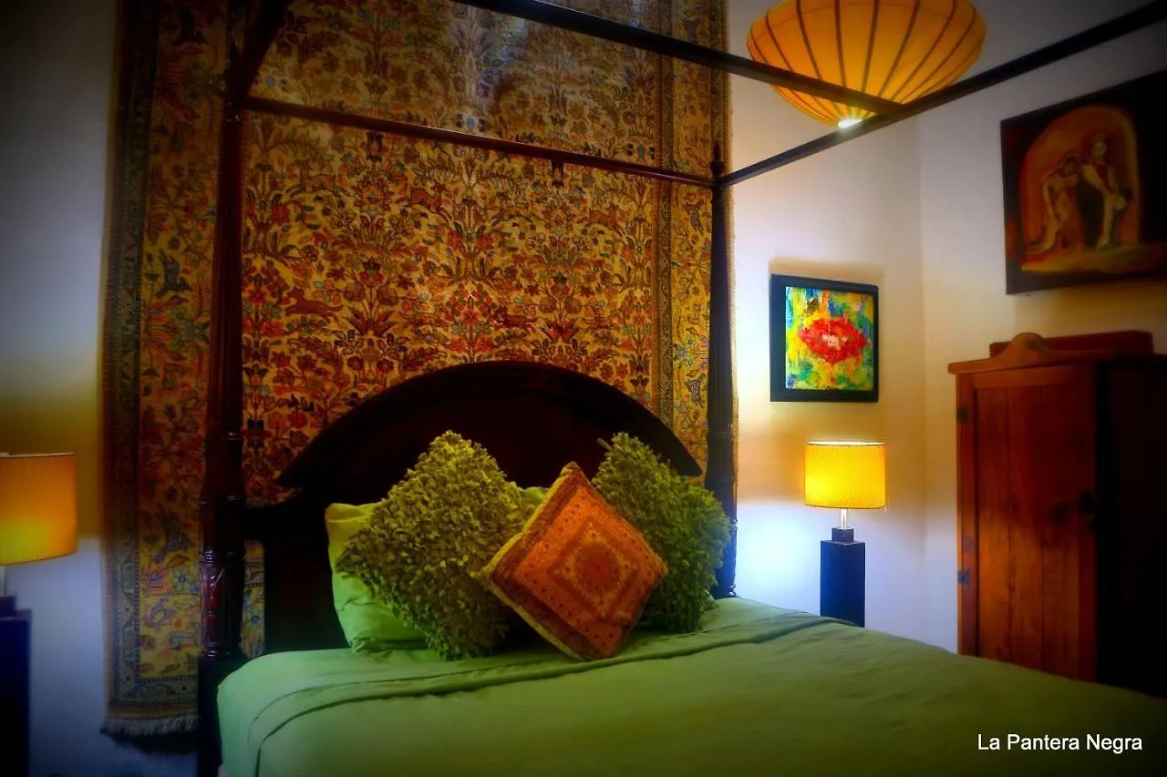 Bed and Breakfast La Pantera Negra à Mérida