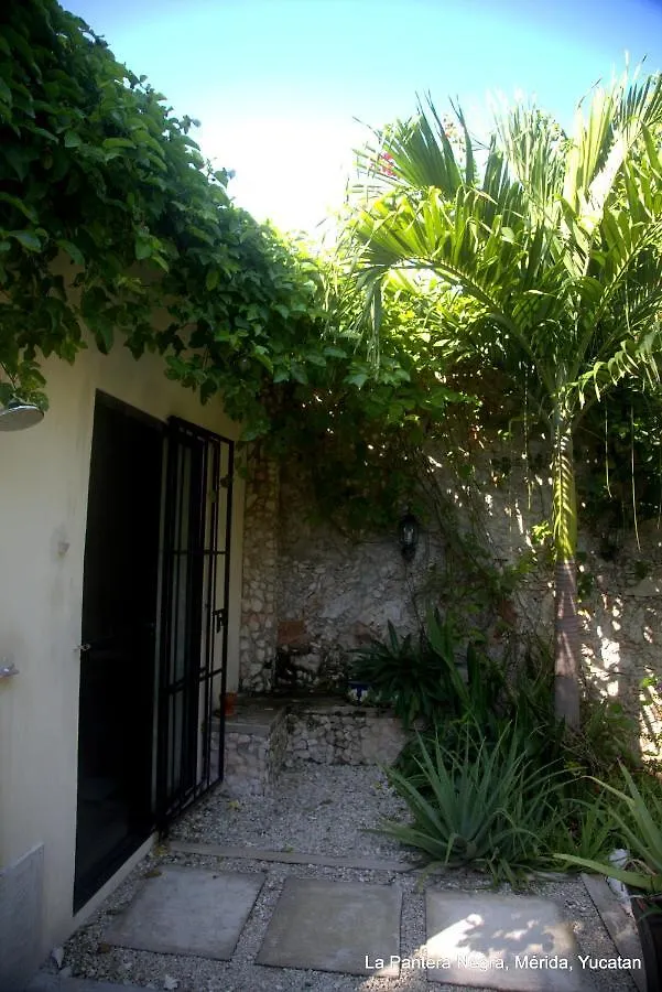 Bed and Breakfast La Pantera Negra à Mérida Couette-café
